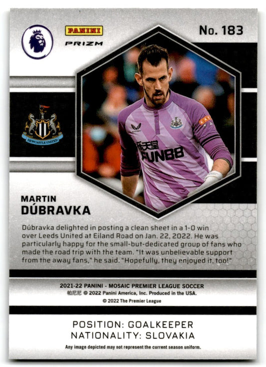 2022 Panini Mosaic Premier League Reactive Gold Mosaic Prizm Martin Dubravka