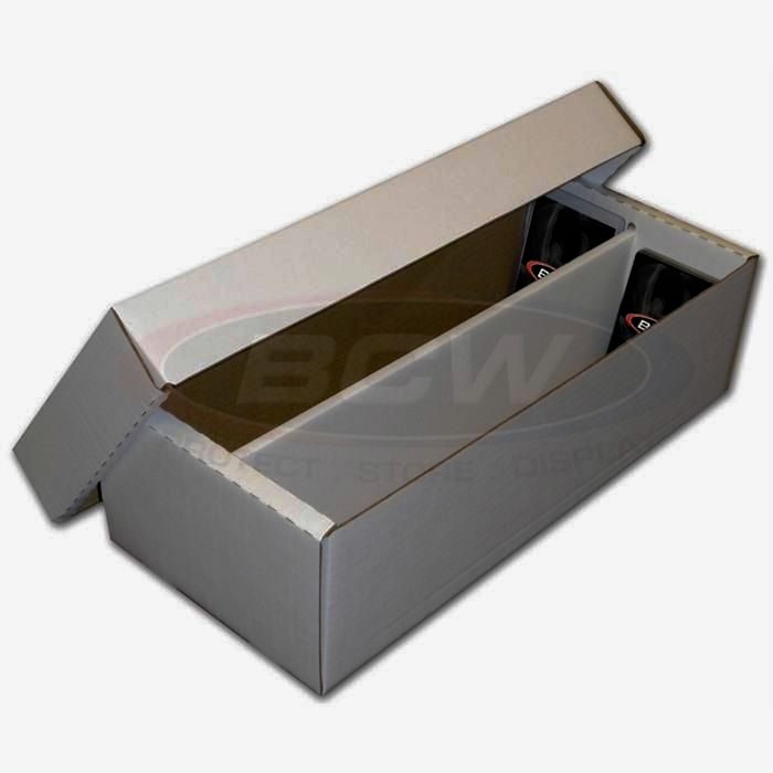2 Row Shoe Storage Box