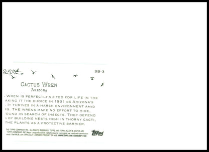 2025 Topps Allen & Ginter Mini #SB-3 Catus Wren