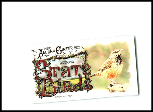 2025 Topps Allen & Ginter Mini #SB-3 Catus Wren