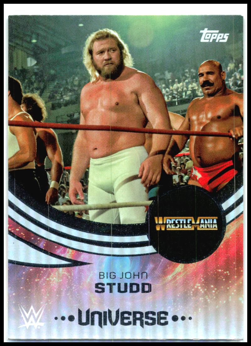 2025 Topps Universe WWE #221 Big John Studd