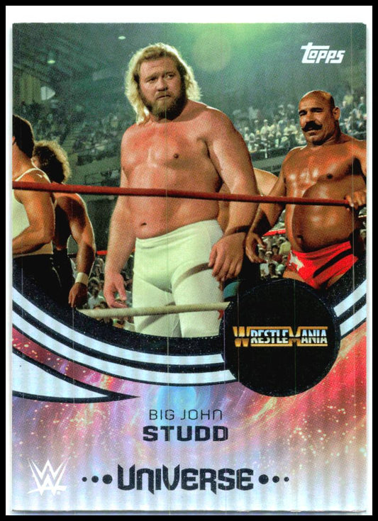2025 Topps Universe WWE #221 Big John Studd