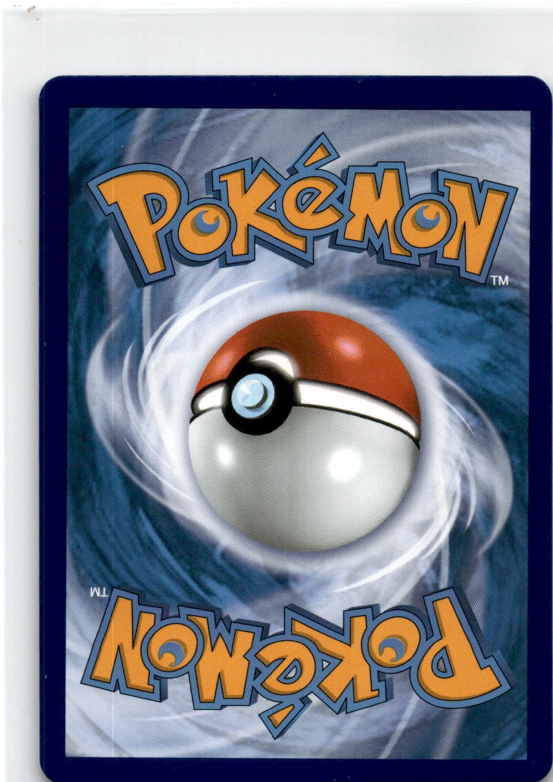 Sword & Shield Torkoal V 024/202 2020 Base Set Pokemon Card Ultra Rare