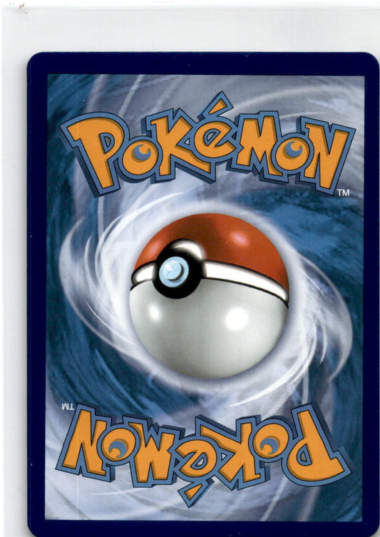 Sword & Shield Torkoal V 024/202 2020 Base Set Pokemon Card Ultra Rare